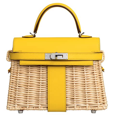 hermes kelly picnic|Hermes kelly picnic bags.